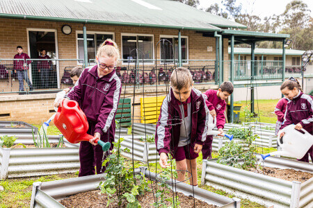 Chisholm Catholic Primary School