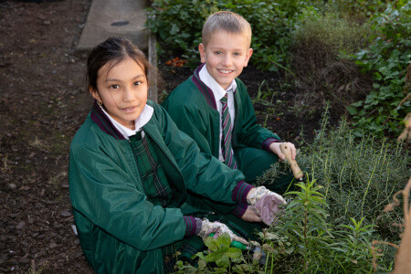 Holy Cross Primary School