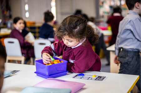 Mary Immaculate Primary School