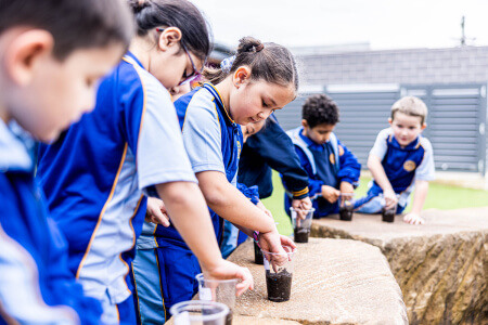 Our Lady Queen of Peace Primary School