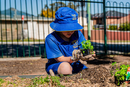 Our Lady of Mount Carmel Primary School