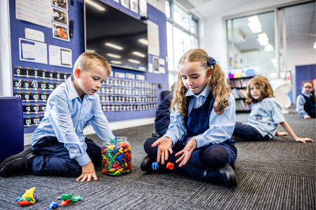 Our Lady of The Nativity Primary School