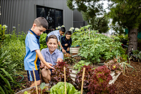 Our Lady of The Rosary Primary School