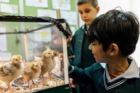 St Anthony's Primary School