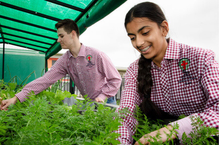 St John Paul II Catholic College