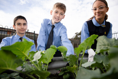 St Michael's Primary School