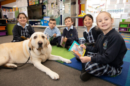 Trinity Catholic Primary School