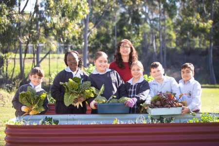 Trinity Catholic Primary School