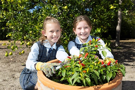 St Monica's Primary School